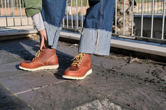 B-ROCKET 01 Donna - B-rocket B-ROCKET 01 Donna - B-rocket